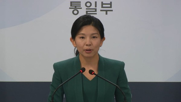 통일부 정례브리핑 중인 김인애 부대변인.